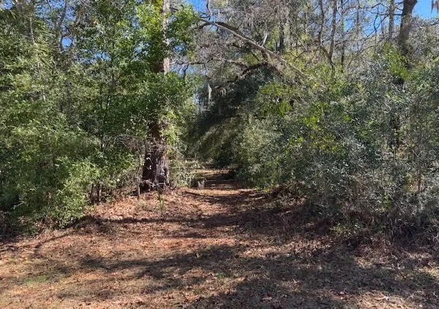 Photo 3 of Land for sale at 10220 W Ohio Dr, Crystal River, FL 34428 | MLS# L4950445 | Listing updated on 2026-05-01
