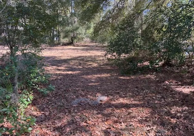 Photo 4 of Land for sale at 10220 W Ohio Dr, Crystal River, FL 34428 | MLS# L4950445 | Listing updated on 2026-05-01
