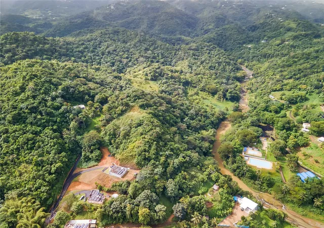 Homes for sale in Aguas Buenas, PR | Bo Mulas Carr 174 Km Hm 196 Int #SOLAR 1, Aguas Buenas, PR 00703 | MLS# PR9111511