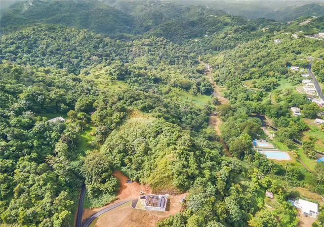 Homes for sale in Aguas Buenas, PR | Bo Mulas Carr 174 Km Hm 196 Int #SOLAR 1, Aguas Buenas, PR 00703 | MLS# PR9111511