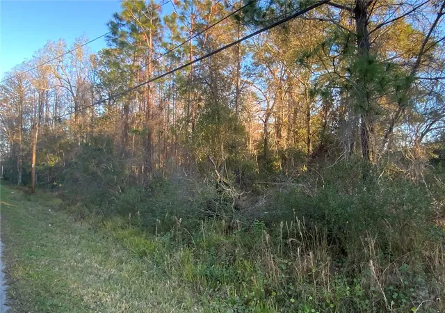 Photo 2 of Land for sale at 12842 Midvale Ave, New Port Richey, FL 34654 | MLS# TB8347777 | Listing updated on 2026-01-06