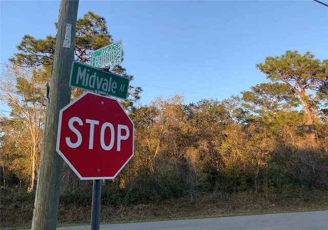 Photo 3 of Land for sale at 12842 Midvale Ave, New Port Richey, FL 34654 | MLS# TB8347777 | Listing updated on 2026-01-06