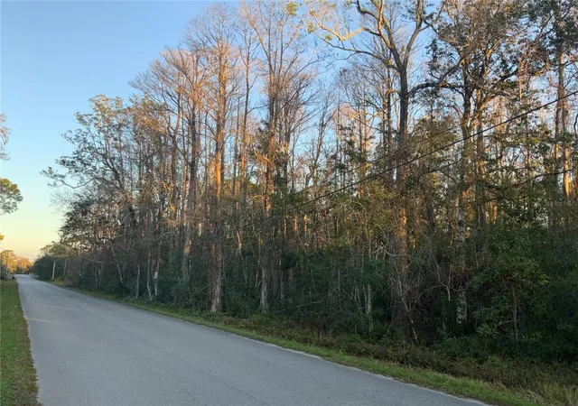 Photo 4 of Land for sale at 12842 Midvale Ave, New Port Richey, FL 34654 | MLS# TB8347777 | Listing updated on 2026-01-06
