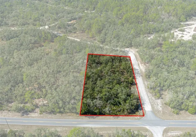 Homes for sale in Webster, FL | 00 Shortstone Dr, Webster, FL 33597 | MLS# W7872265