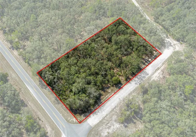 Homes for sale in Webster, FL | 00 Shortstone Dr, Webster, FL 33597 | MLS# W7872265