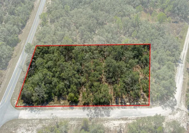 Homes for sale in Webster, FL | 00 Shortstone Dr, Webster, FL 33597 | MLS# W7872265