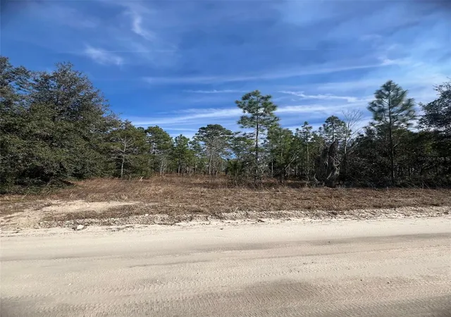 Homes for sale in Morriston, FL | Tbd Se 185 Ter, Morriston, FL 32668 | MLS# OM694736