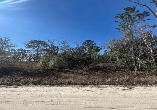 Homes for sale in Morriston, FL | Tbd Se 186 Ter, Morriston, FL 32668 | MLS# OM694737