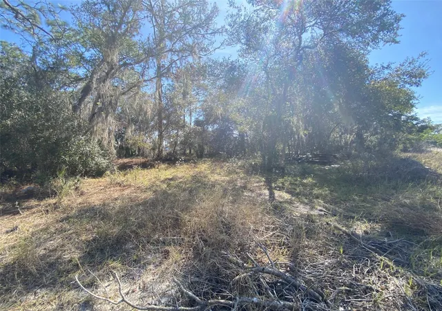 Photo 1 of Land for sale at 1203 Vernon Ln, Kissimmee, FL 34759 | MLS# TB8348277 | Listing updated on 2026-05-14