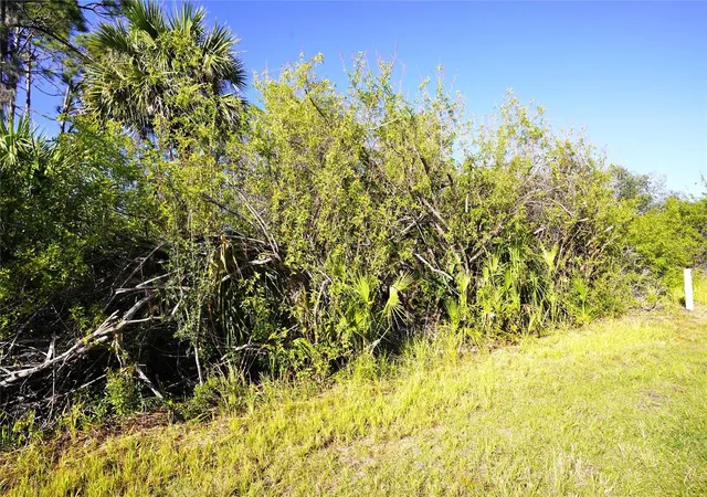 Photo 4 of Land for sale at 1100 March Dr, Port Charlotte, FL 33953 | MLS# C7504896 | Listing updated on 2026-05-01