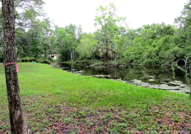 20th image of Roberts Rd, Palm Harbor, FL 34683 | MLS# TB8348521