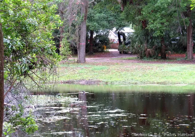 2nd image of Roberts Rd, Palm Harbor, FL 34683 | MLS# TB8348521
