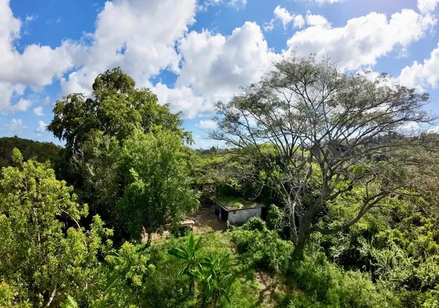 Photo 12 of Land for sale at Rd 859 Km 15 Bo Santa Cruz, Carolina, PR 00987 | MLS# PR9111628 | Listing updated on 2026-08-10