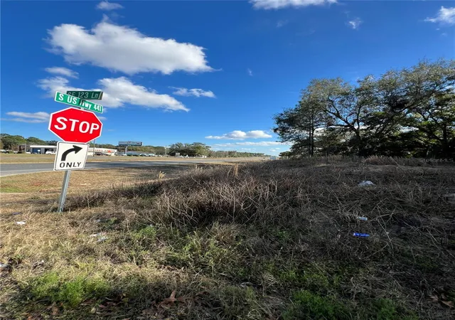 38th image of 7280 Se 123rd Ln, Belleview, FL 34420 | MLS# TB8349196