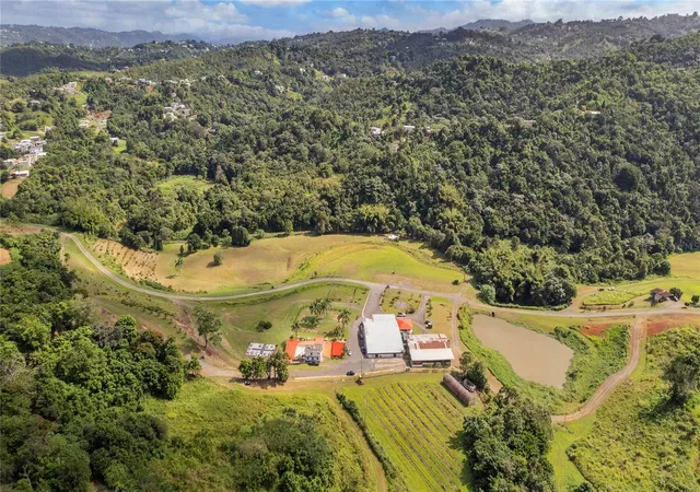Homes for sale in Aguas Buenas, PR | Hacienda Cascada, Aguas Buenas, PR 00703 | MLS# PR9111722