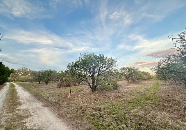 Homes for sale in Weirsdale, FL | 000 Se Se 165th Ave, Weirsdale, FL 32195 | MLS# G5093028