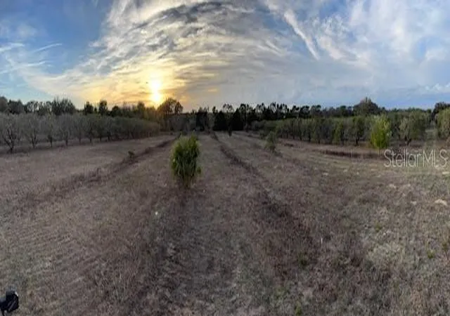 Homes for sale in Weirsdale, FL | 000 Se Se 165Th Ave, Weirsdale, FL 32195 | MLS# G5093028