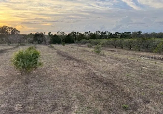 Homes for sale in Weirsdale, FL | 000 Se Se 165Th Ave, Weirsdale, FL 32195 | MLS# G5093028