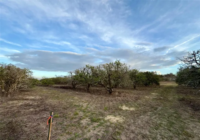 Homes for sale in Weirsdale, FL | Se 165Th Ave, Weirsdale, FL 32195 | MLS# G5093029