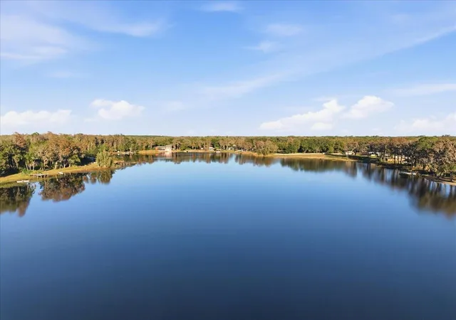 1st image of 16921 Crawley Rd, Odessa, FL 33556 | MLS# TB8352345