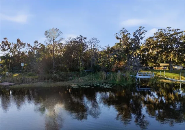 4th image of 16921 Crawley Rd, Odessa, FL 33556 | MLS# TB8352345