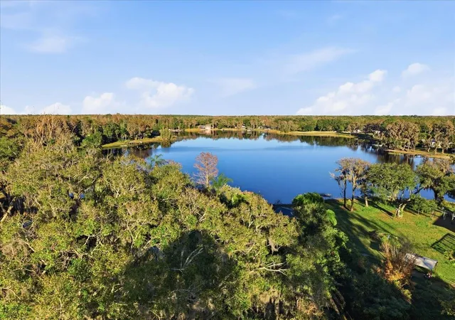 5th image of 16921 Crawley Rd, Odessa, FL 33556 | MLS# TB8352345