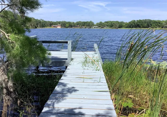 53rd image of 16921 Crawley Rd, Odessa, FL 33556 | MLS# TB8352345