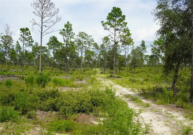 16th image of Lot B Se State Road 121, Morriston, FL 32668 | MLS# OM695500