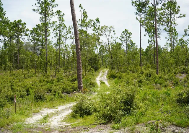 1st image of Lot B Se State Road 121, Morriston, FL 32668 | MLS# OM695500