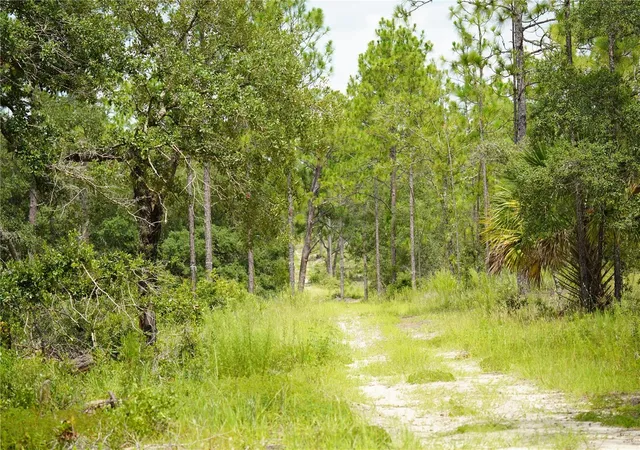 5th image of Lot B Se State Road 121, Morriston, FL 32668 | MLS# OM695500