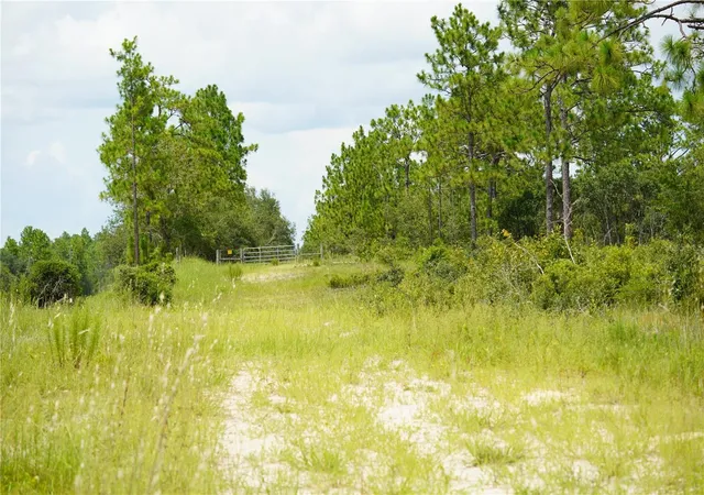 Photo 3 of Land for sale at SE State Rd 121 Lot C & D, Morriston, FL 32668 | MLS# OM695504 | Listing updated on 2026-06-09