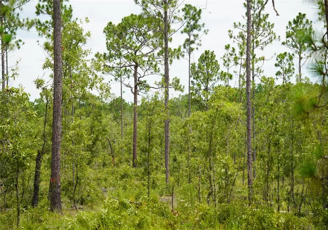 Photo 4 of Land for sale at SE State Rd 121 Lot C & D, Morriston, FL 32668 | MLS# OM695504 | Listing updated on 2026-06-09