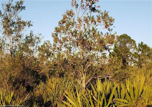 2nd image of 625 N Range Dr, Lorida, FL 33857 | MLS# L4950906