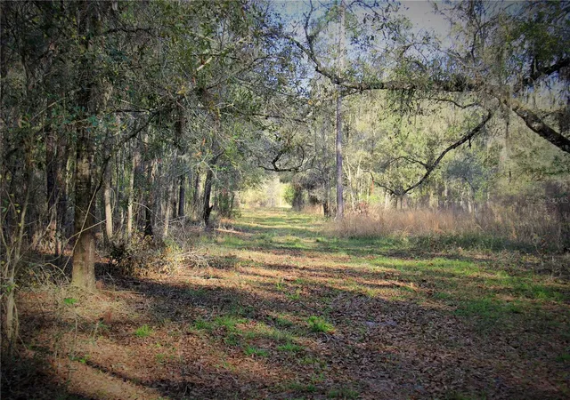 1st image of C R 772b, Webster, FL 33597 | MLS# O6282807