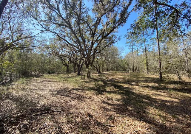 2nd image of C R 772b, Webster, FL 33597 | MLS# O6282807