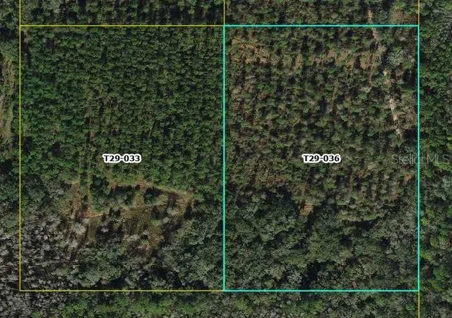 Photo 3 of Land for sale at Cr 772b, Webster, FL 33597 | MLS# O6282807 | Listing updated on 2026-08-28