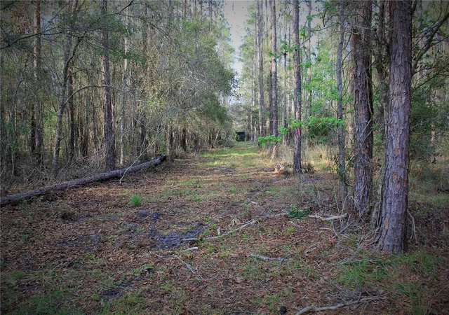 Photo 3 of Land for sale at Cr 772b, Webster, FL 33597 | MLS# O6282807 | Listing updated on 2026-08-28