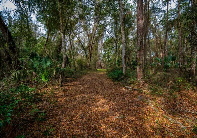 3rd image of 7822 Cr 647, Bushnell, FL 33513 | MLS# TB8353084