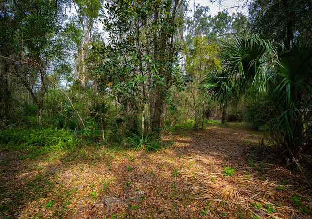 4th image of 7822 Cr 647, Bushnell, FL 33513 | MLS# TB8353084