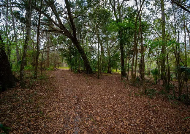 5th image of 7822 Cr 647, Bushnell, FL 33513 | MLS# TB8353084