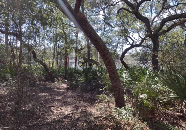 1st image of 89 Tucker Lake Rd, Melrose, FL 32666 | MLS# GC528461
