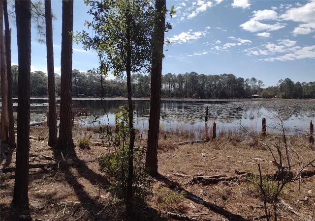 2nd image of 89 Tucker Lake Rd, Melrose, FL 32666 | MLS# GC528461