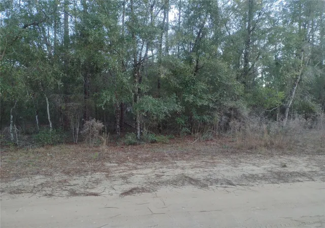 3rd image of 89 Tucker Lake Rd, Melrose, FL 32666 | MLS# GC528461