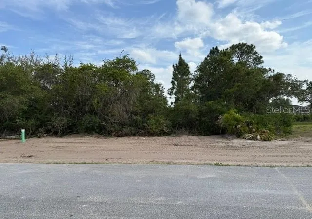 Photo 2 of Land for sale at 1649 Redfin Dr, Kissimmee, FL 34759 | MLS# TB8353757 | Listing updated on 2026-08-13
