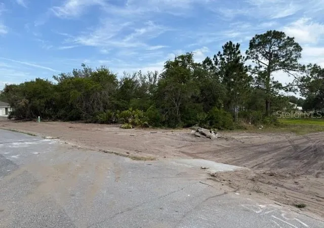 Photo 3 of Land for sale at 1649 Redfin Dr, Kissimmee, FL 34759 | MLS# TB8353757 | Listing updated on 2026-08-13