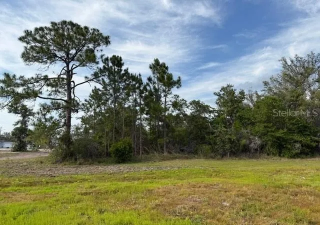 Photo 4 of Land for sale at 1649 Redfin Dr, Kissimmee, FL 34759 | MLS# TB8353757 | Listing updated on 2026-08-13