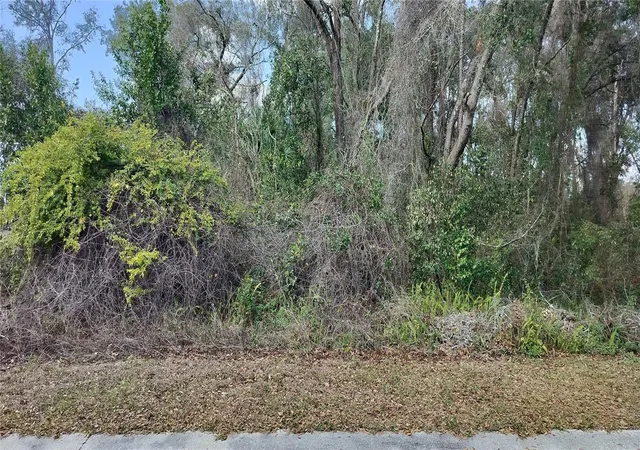 Photo 1 of Land for sale at 204 Adelphi St, Inverness, FL 34452 | MLS# TB8354537 | Listing updated on 2026-02-18
