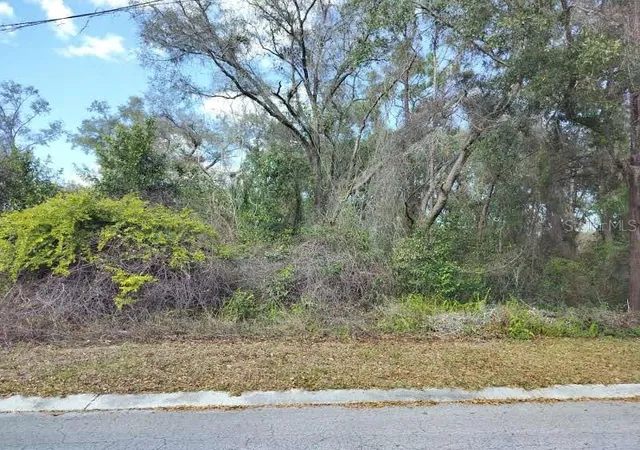 Photo 2 of Land for sale at 204 Adelphi St, Inverness, FL 34452 | MLS# TB8354537 | Listing updated on 2026-02-18