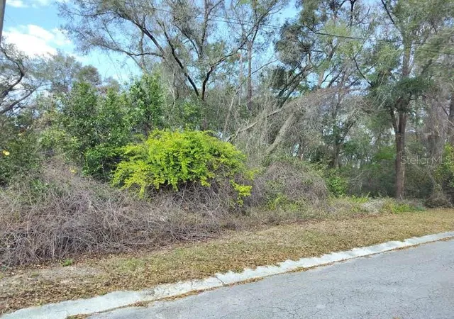 Photo 3 of Land for sale at 204 Adelphi St, Inverness, FL 34452 | MLS# TB8354537 | Listing updated on 2026-02-18