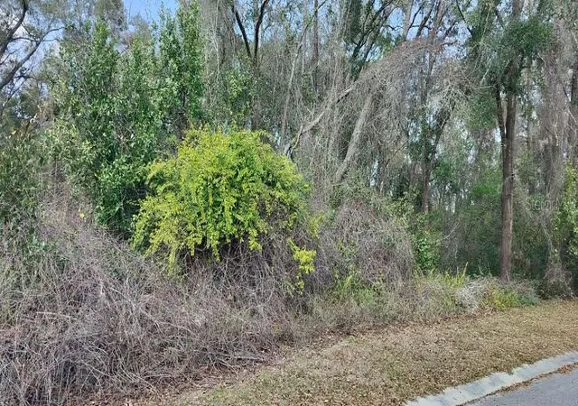 Photo 4 of Land for sale at 204 Adelphi St, Inverness, FL 34452 | MLS# TB8354537 | Listing updated on 2026-02-18